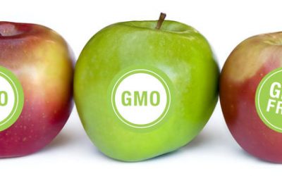 О генетически модифицированных продуктах