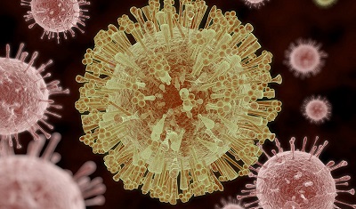 Вирус Зика: очередная «сенсация» или реальная угроза человечеству?