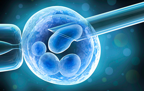 ЭКО: качество будущих эмбрионов можно определить по маркерам фолликулярной жидкости