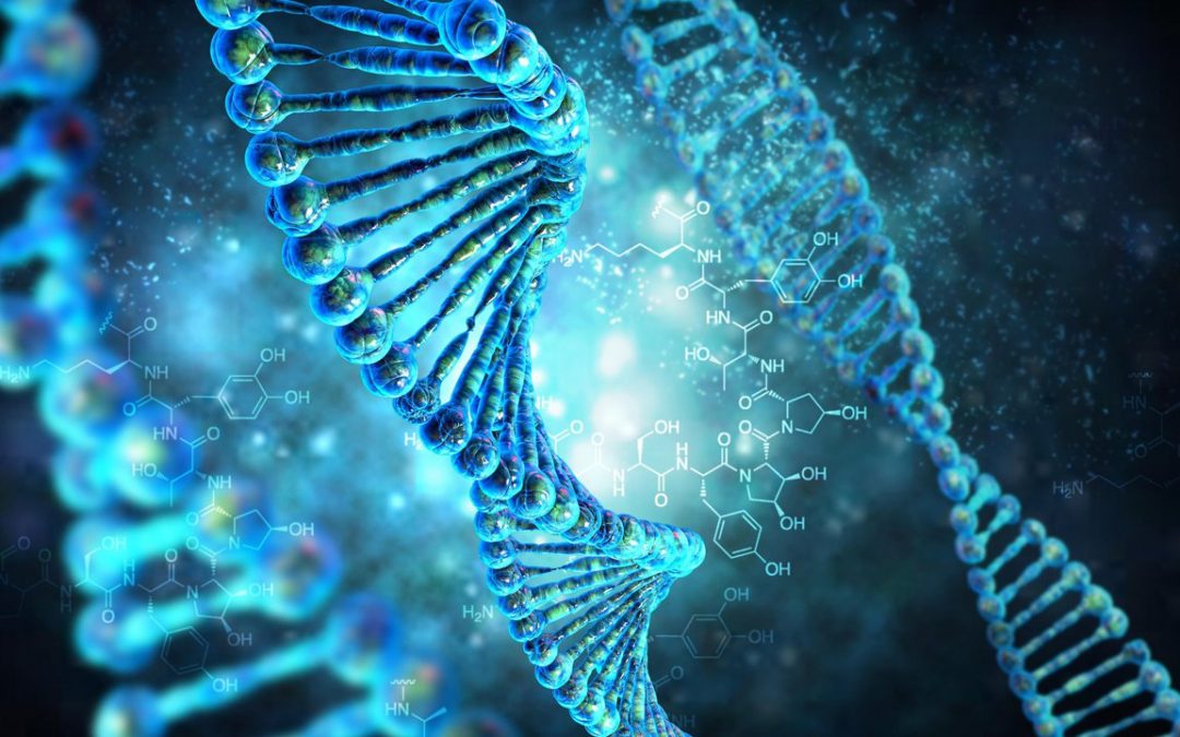 Некоторые понятия генетики и их связь с ДНК-генеалогией