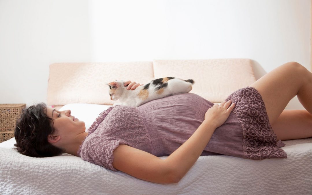Беременность и кошка: токсоплазмоза не избежать?