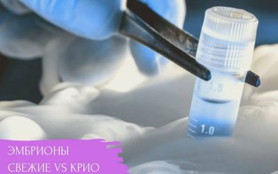 Эмбрионы свежие vs. крио