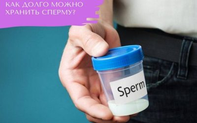 Как долго можно хранить сперму