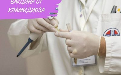 Вакцина от хламидиоза