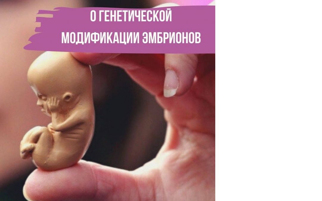 О генетической модификации эмбрионов