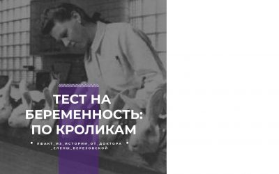Тест на беременность: кролики