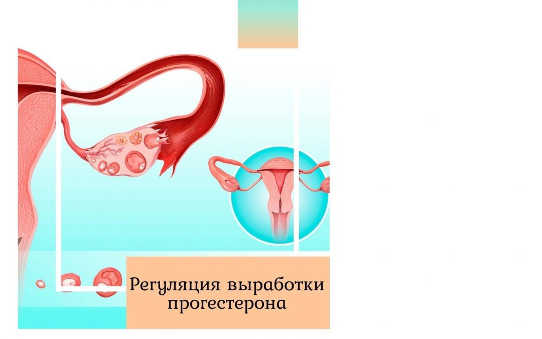 Регуляция выработки прогестерона