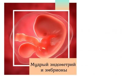 Мудрый эндометрий и эмбрионы