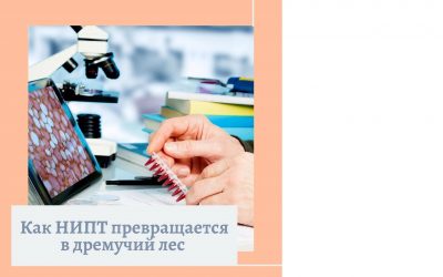 Как НИПТ превращается в дремучий лес