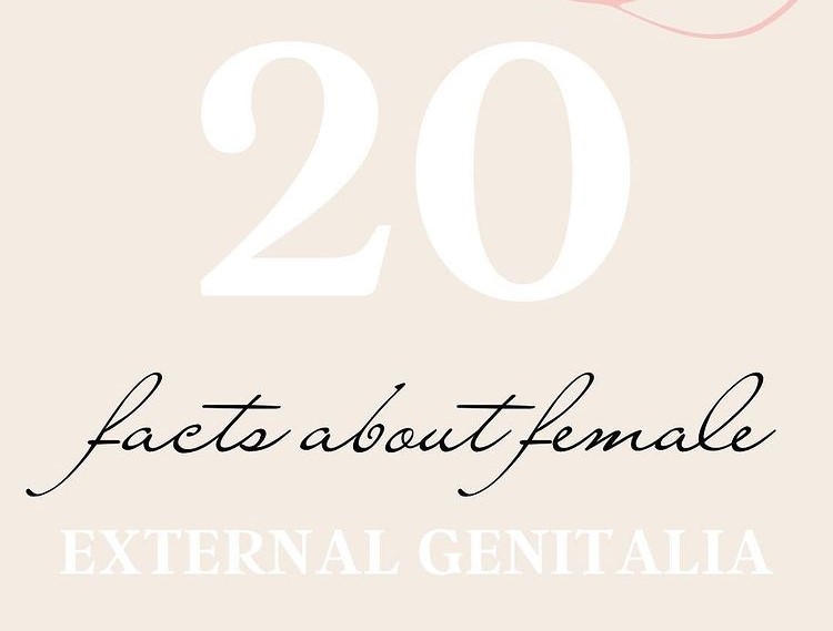 20 facts about the woman’s external genitalia